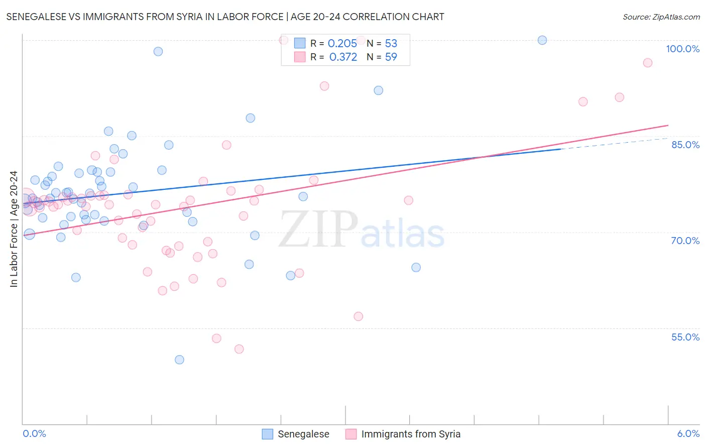 Senegalese vs Immigrants from Syria In Labor Force | Age 20-24