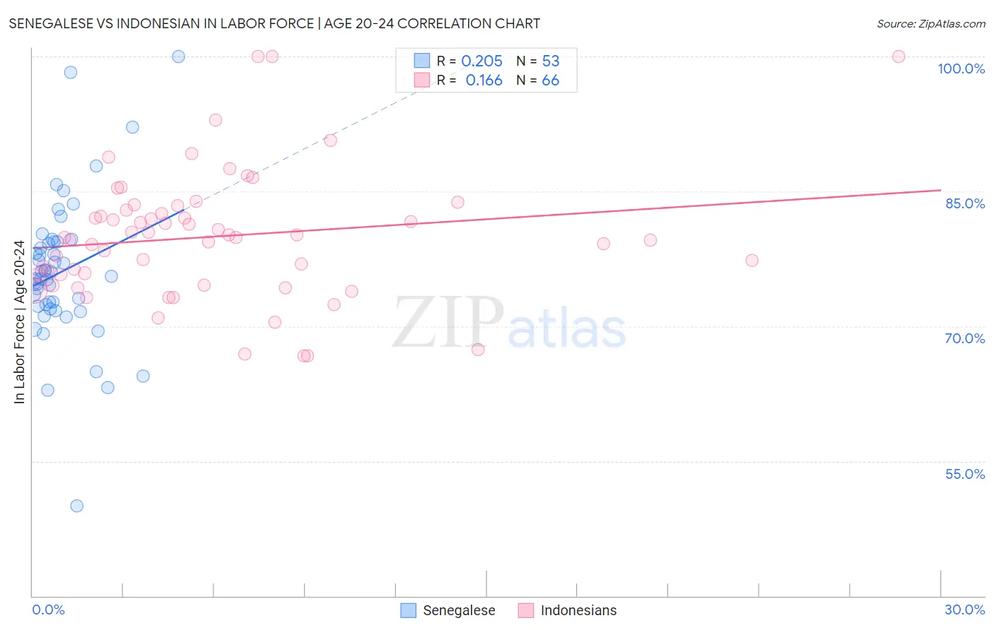 Senegalese vs Indonesian In Labor Force | Age 20-24