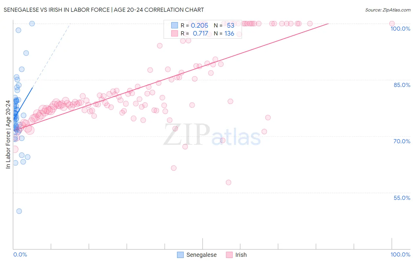 Senegalese vs Irish In Labor Force | Age 20-24