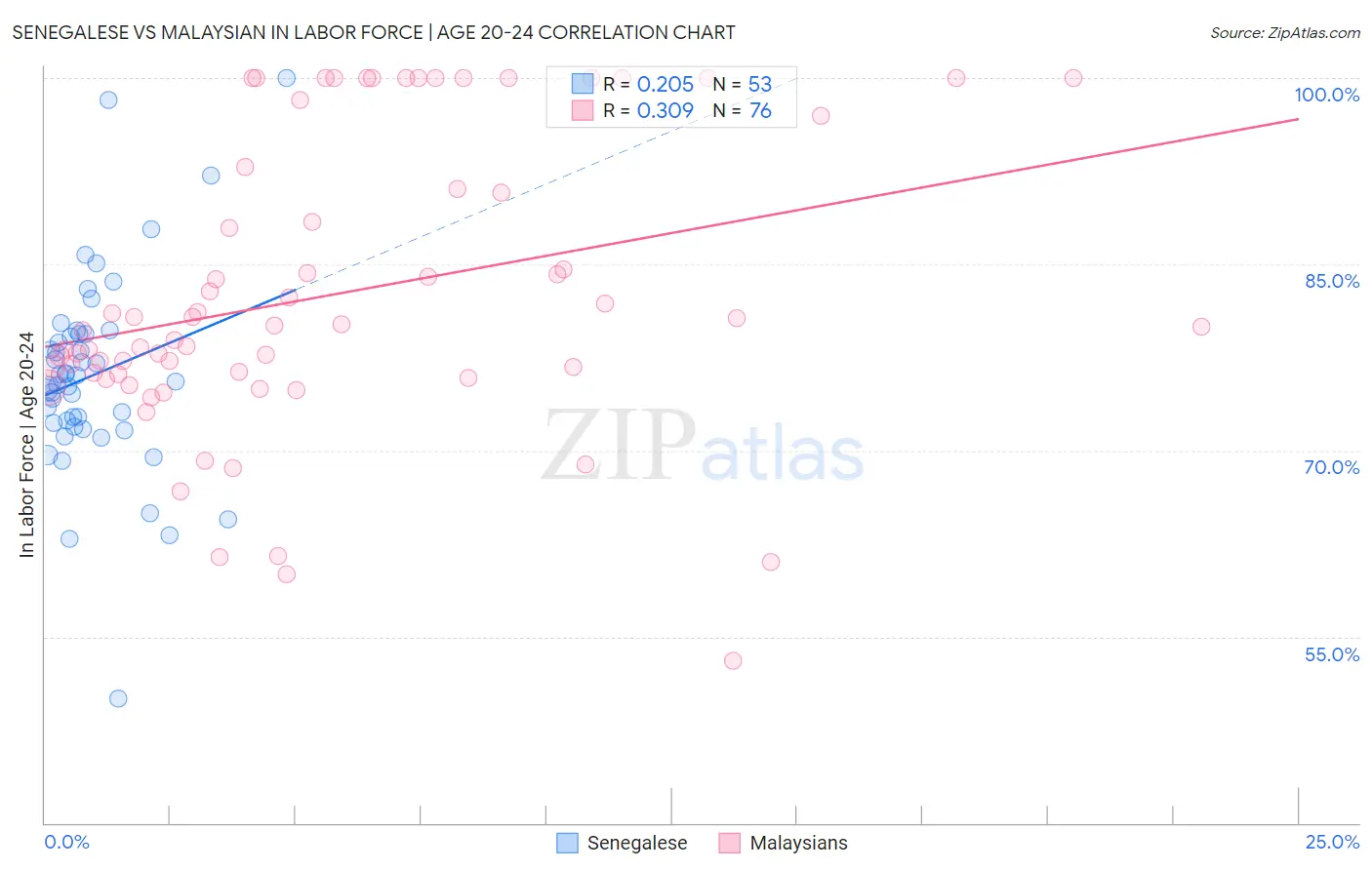Senegalese vs Malaysian In Labor Force | Age 20-24