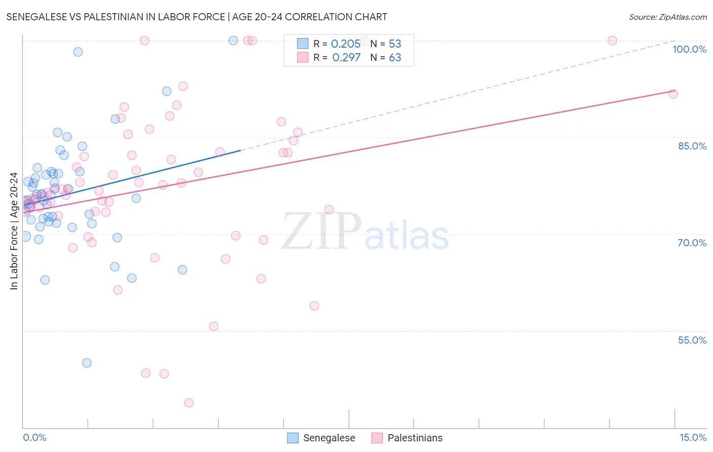 Senegalese vs Palestinian In Labor Force | Age 20-24