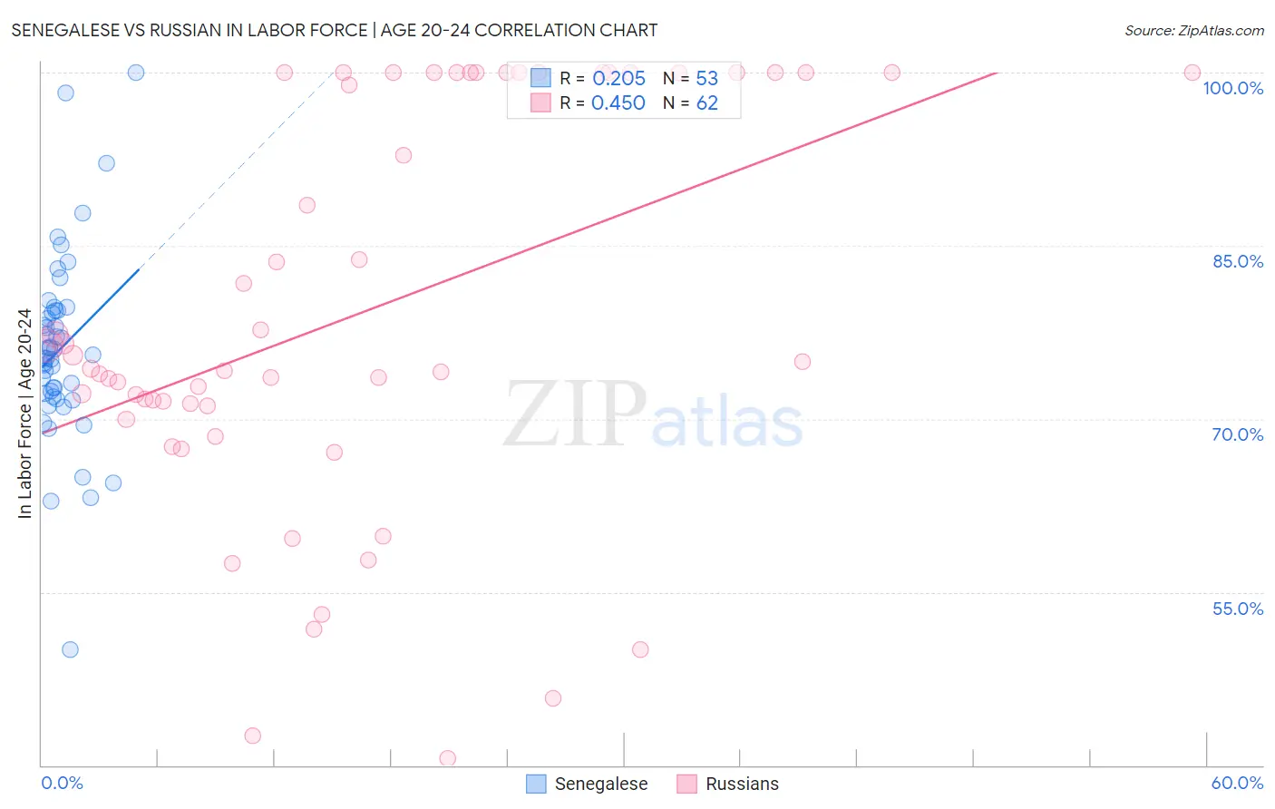 Senegalese vs Russian In Labor Force | Age 20-24