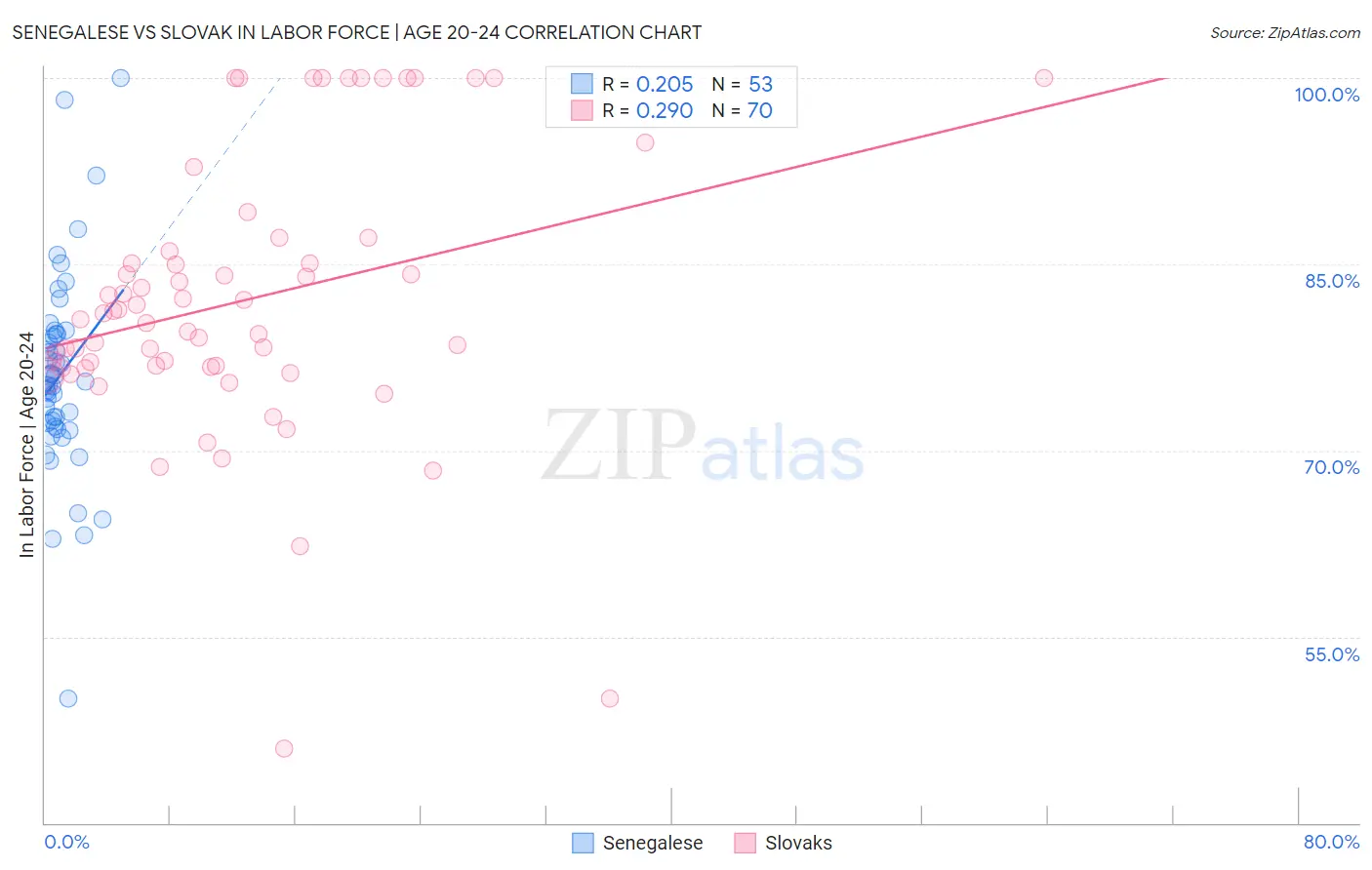 Senegalese vs Slovak In Labor Force | Age 20-24