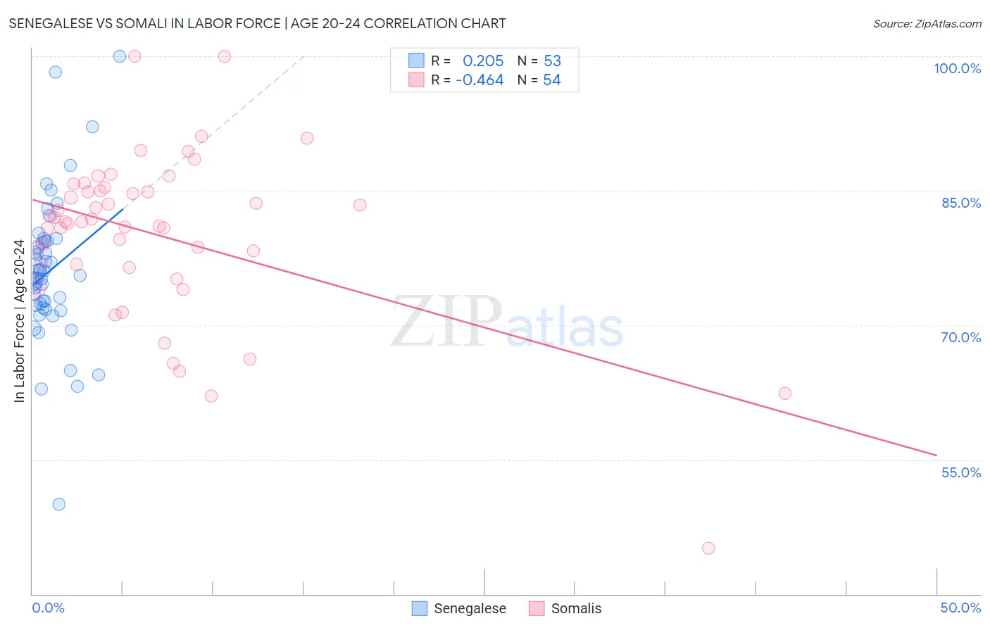Senegalese vs Somali In Labor Force | Age 20-24