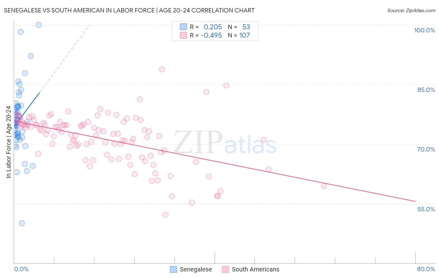 Senegalese vs South American In Labor Force | Age 20-24