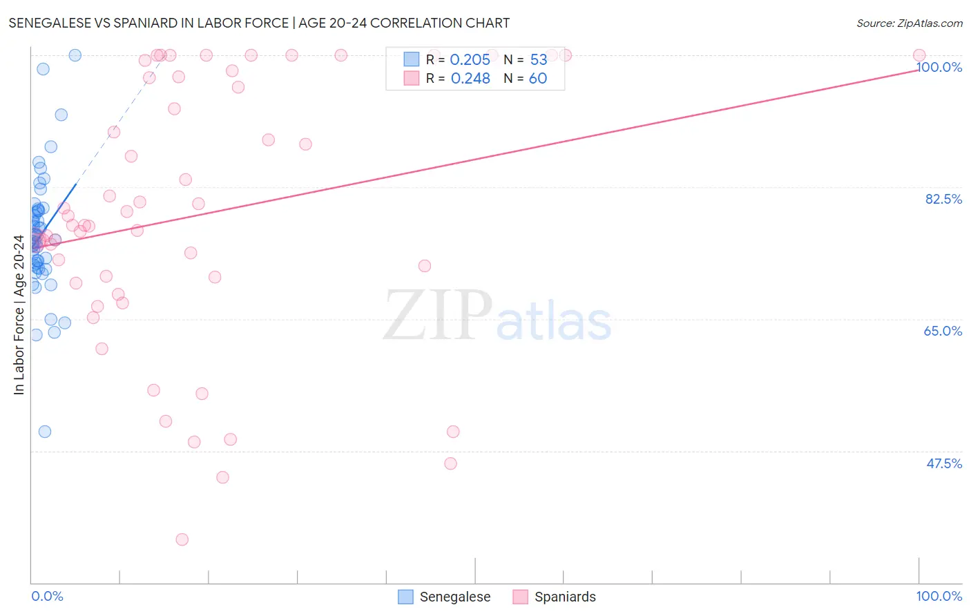 Senegalese vs Spaniard In Labor Force | Age 20-24