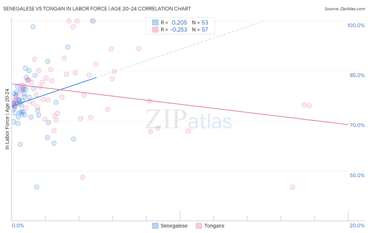 Senegalese vs Tongan In Labor Force | Age 20-24