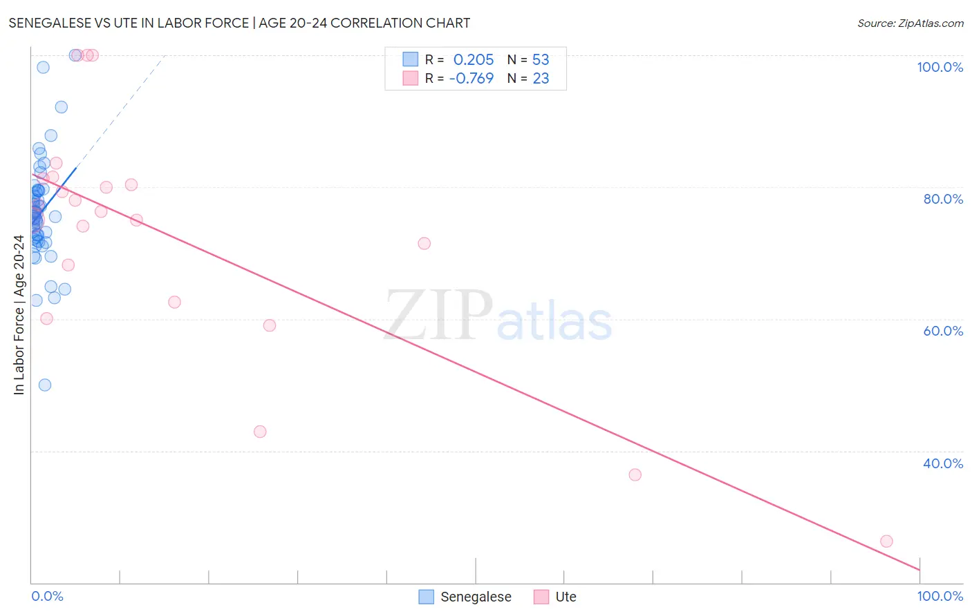 Senegalese vs Ute In Labor Force | Age 20-24