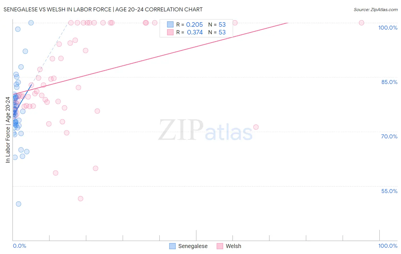 Senegalese vs Welsh In Labor Force | Age 20-24