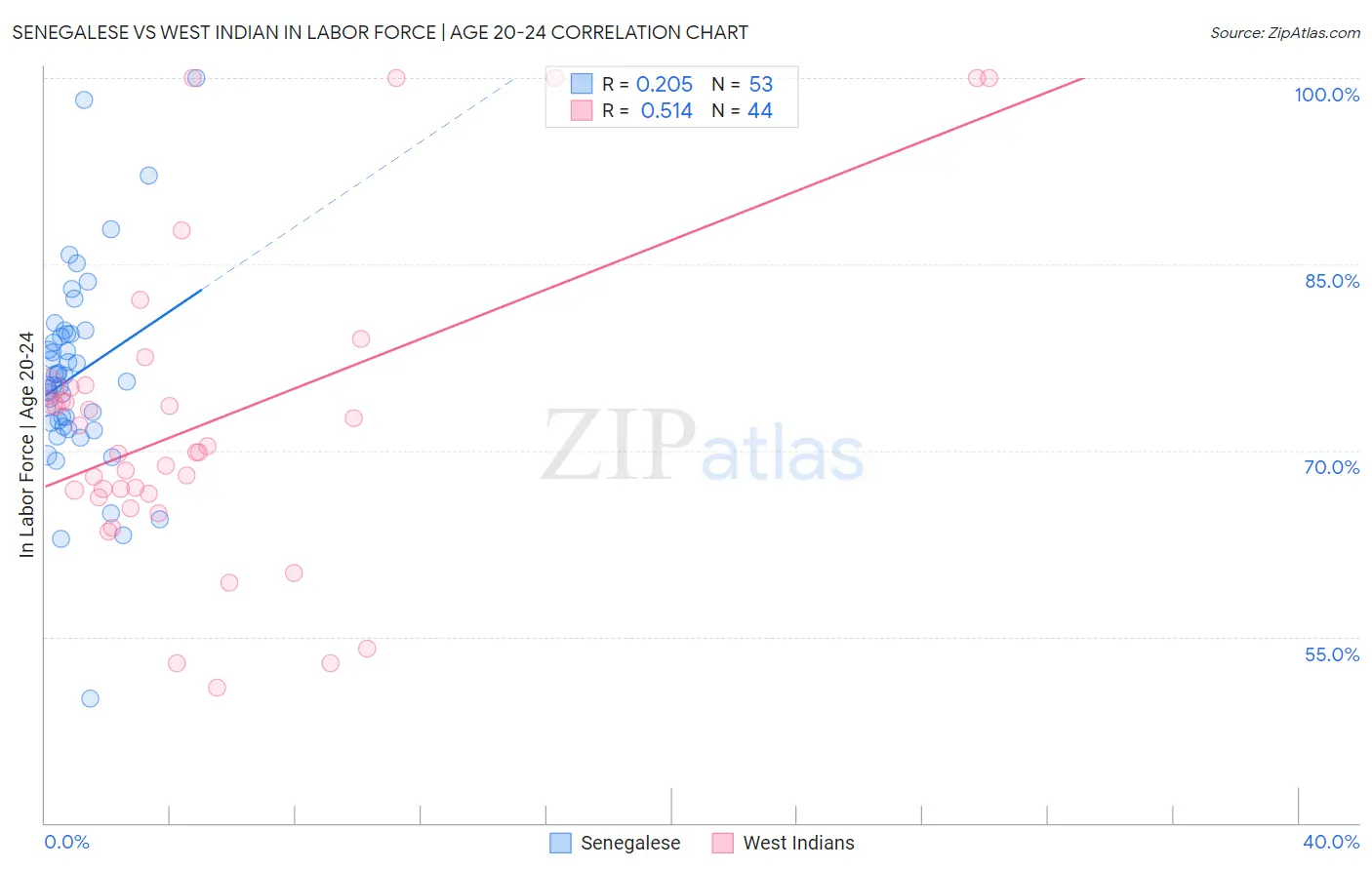 Senegalese vs West Indian In Labor Force | Age 20-24