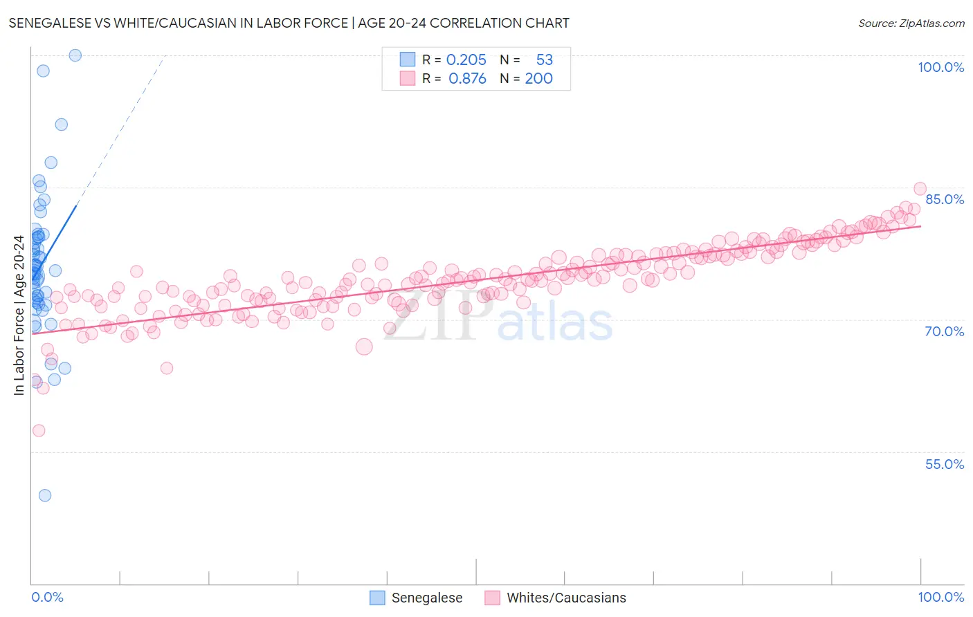 Senegalese vs White/Caucasian In Labor Force | Age 20-24