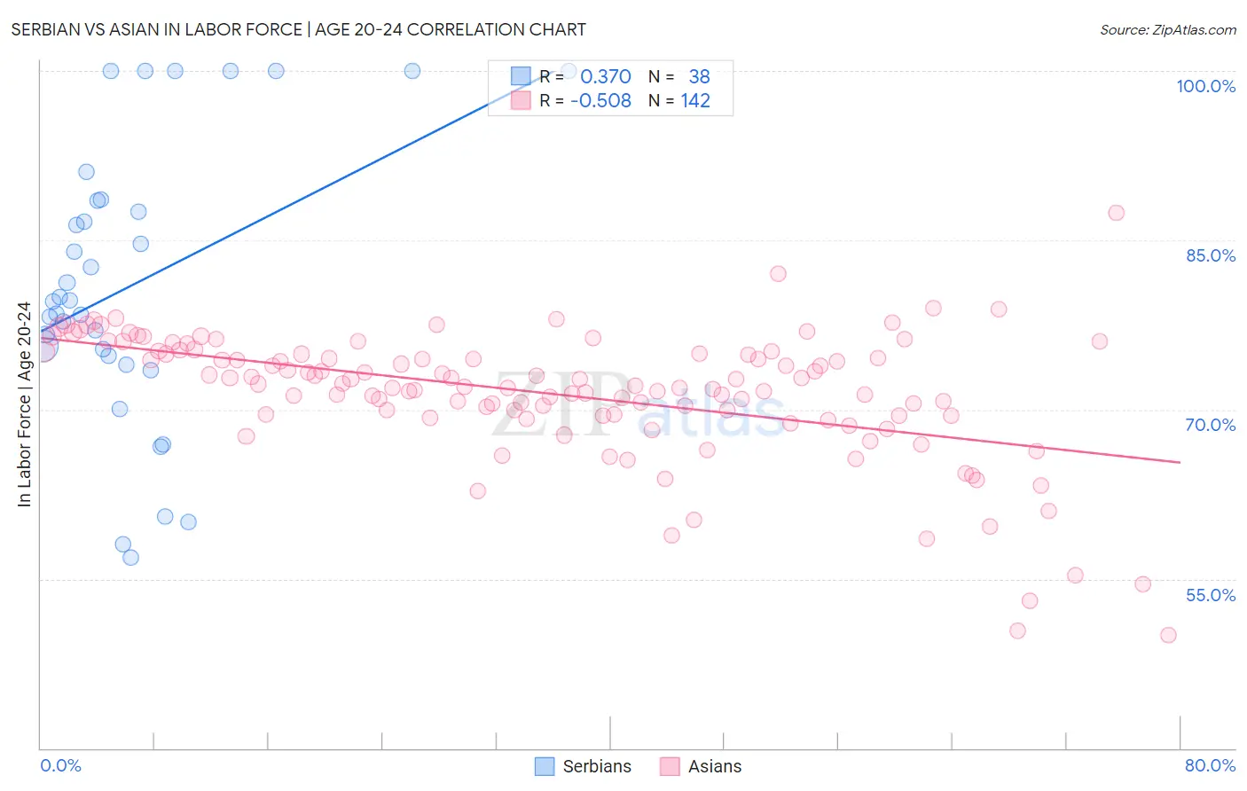 Serbian vs Asian In Labor Force | Age 20-24