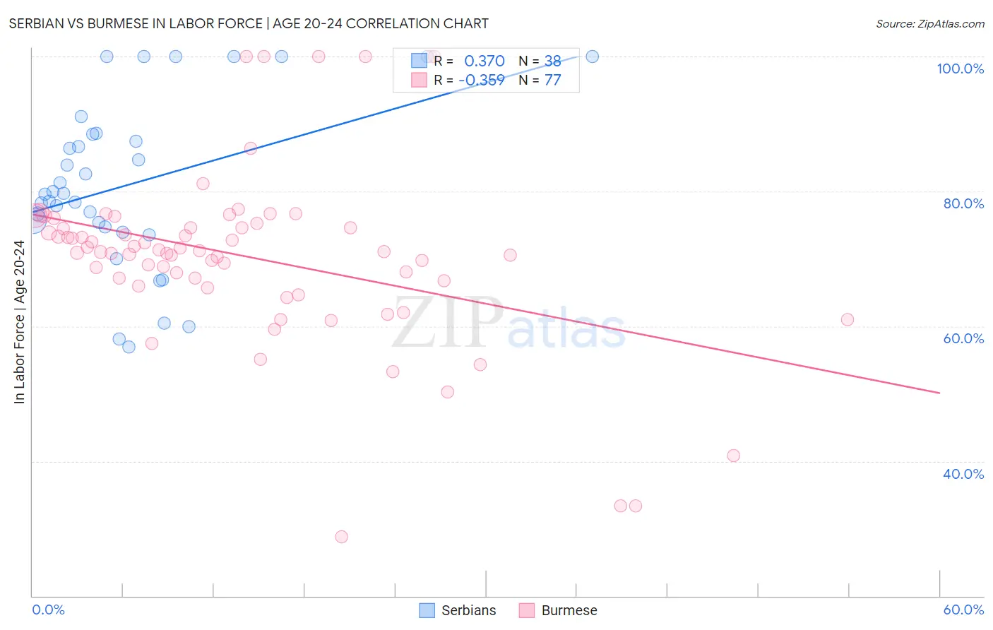 Serbian vs Burmese In Labor Force | Age 20-24