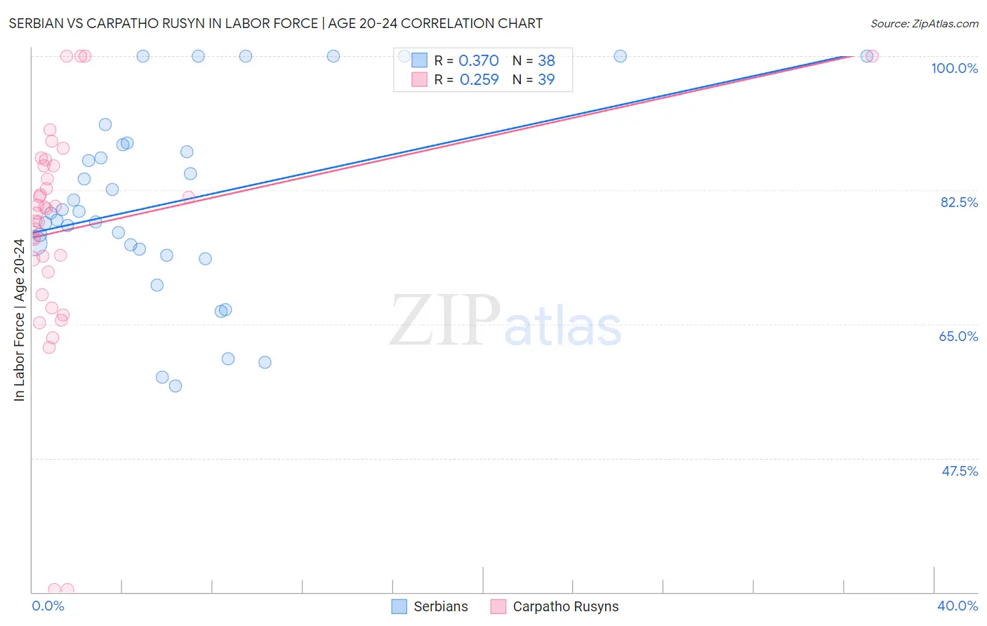 Serbian vs Carpatho Rusyn In Labor Force | Age 20-24