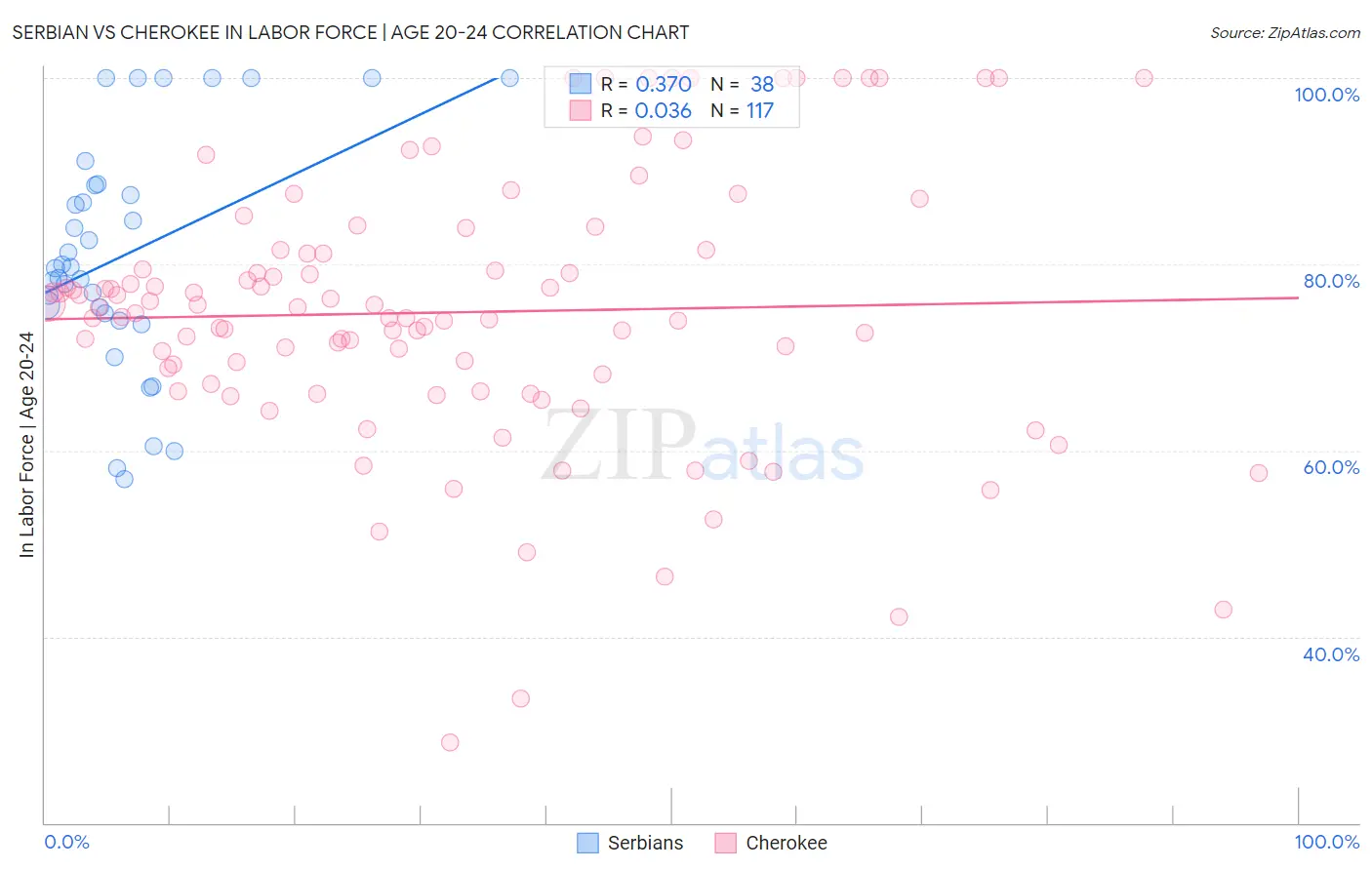Serbian vs Cherokee In Labor Force | Age 20-24