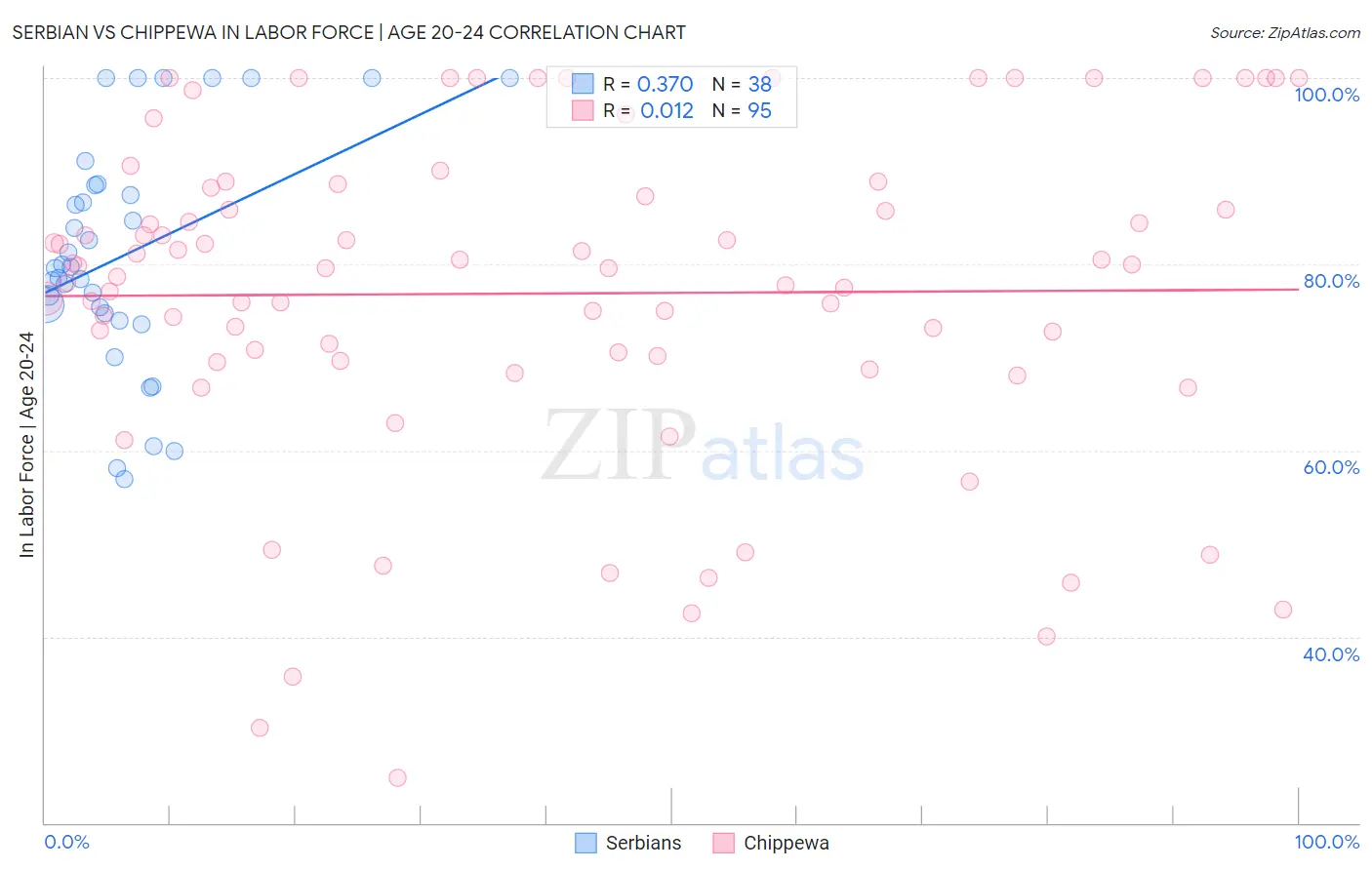 Serbian vs Chippewa In Labor Force | Age 20-24