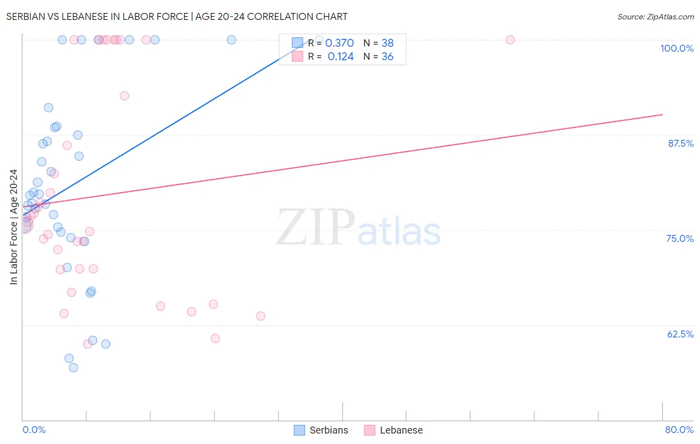 Serbian vs Lebanese In Labor Force | Age 20-24