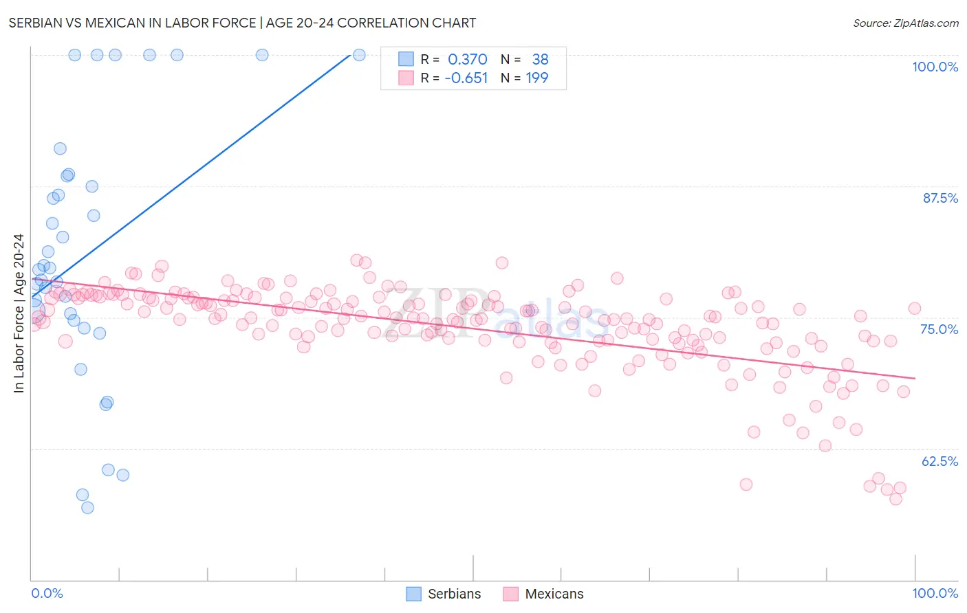 Serbian vs Mexican In Labor Force | Age 20-24