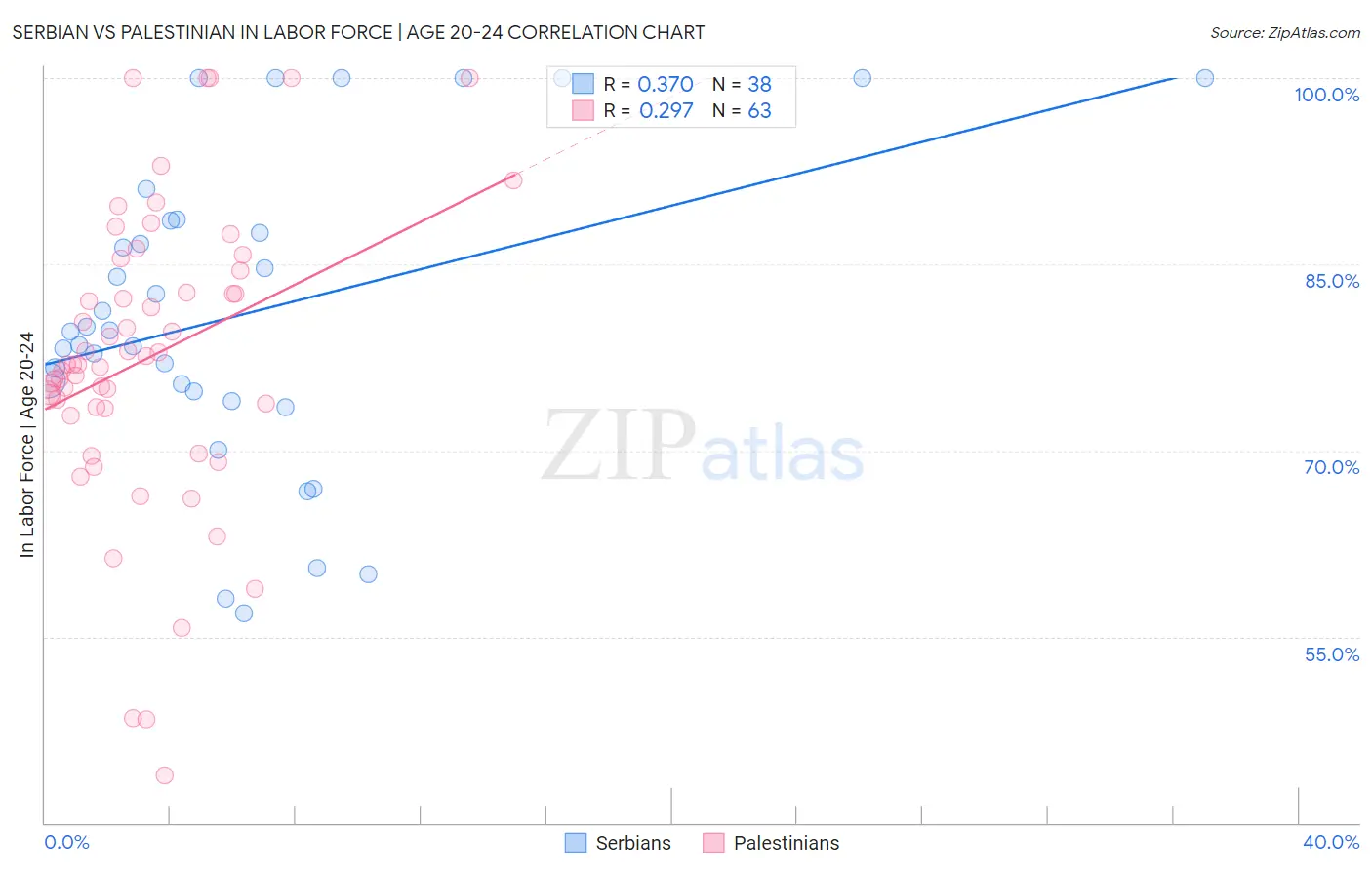 Serbian vs Palestinian In Labor Force | Age 20-24