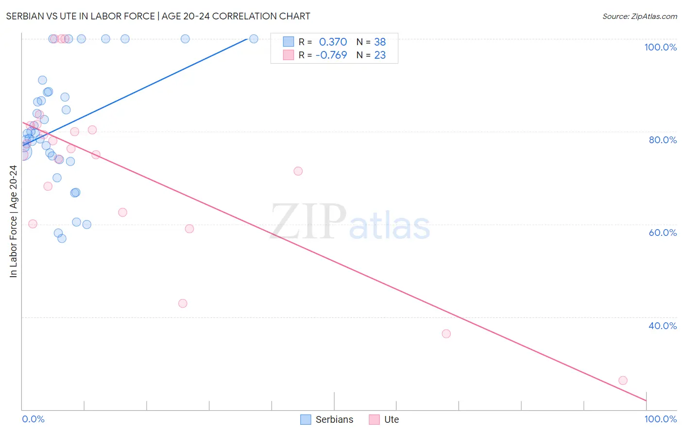 Serbian vs Ute In Labor Force | Age 20-24