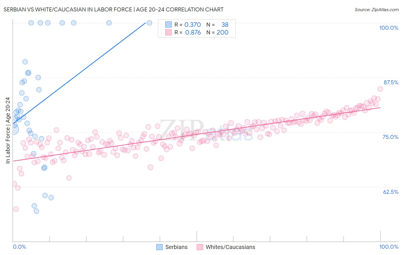 Serbian vs White/Caucasian In Labor Force | Age 20-24