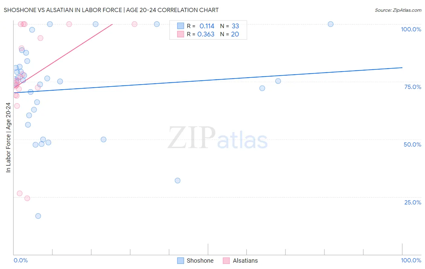 Shoshone vs Alsatian In Labor Force | Age 20-24