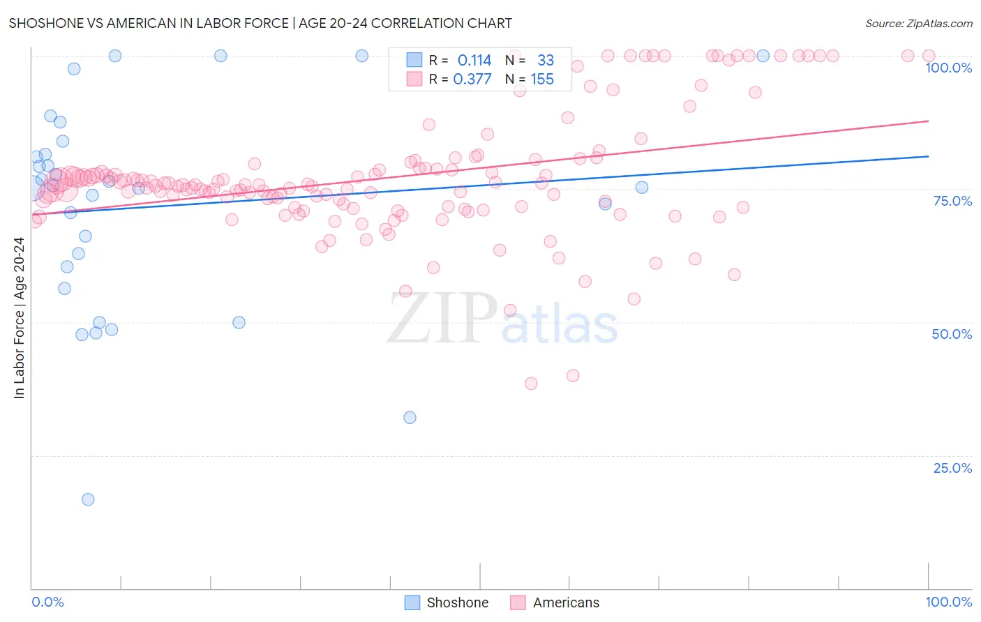 Shoshone vs American In Labor Force | Age 20-24