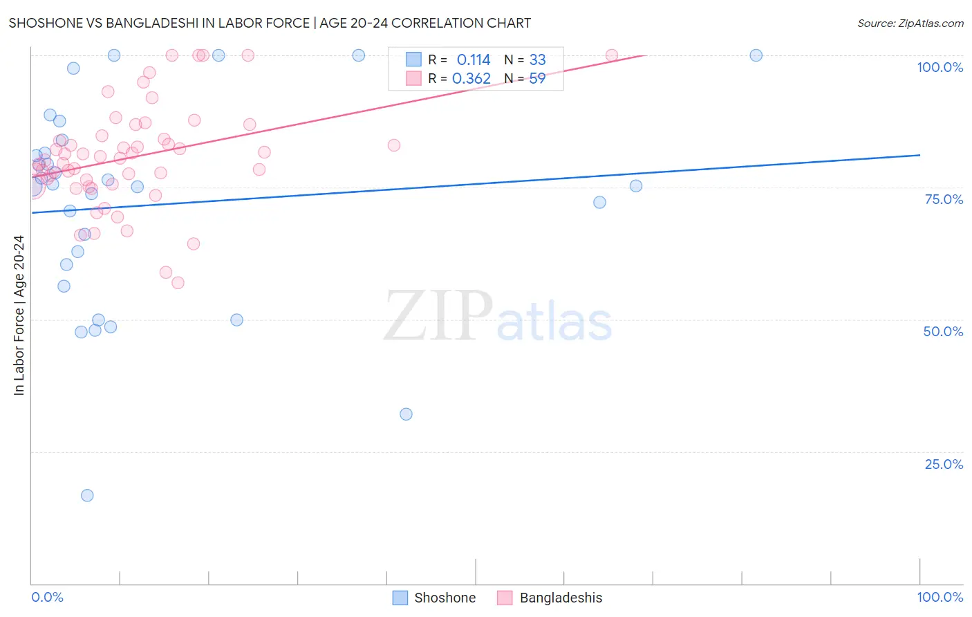 Shoshone vs Bangladeshi In Labor Force | Age 20-24