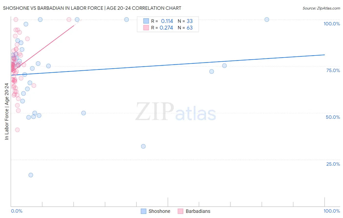 Shoshone vs Barbadian In Labor Force | Age 20-24