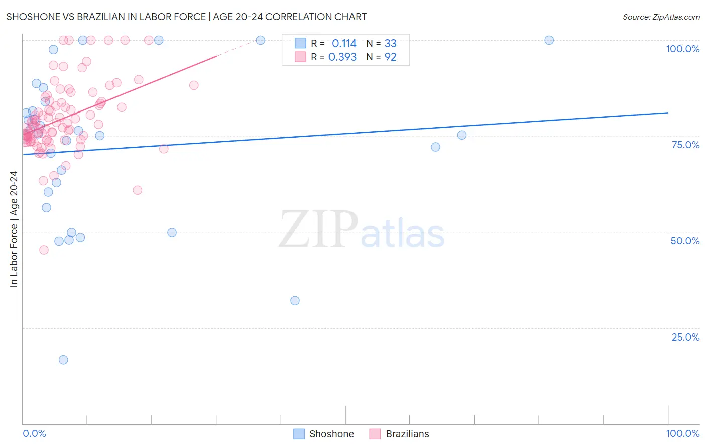 Shoshone vs Brazilian In Labor Force | Age 20-24