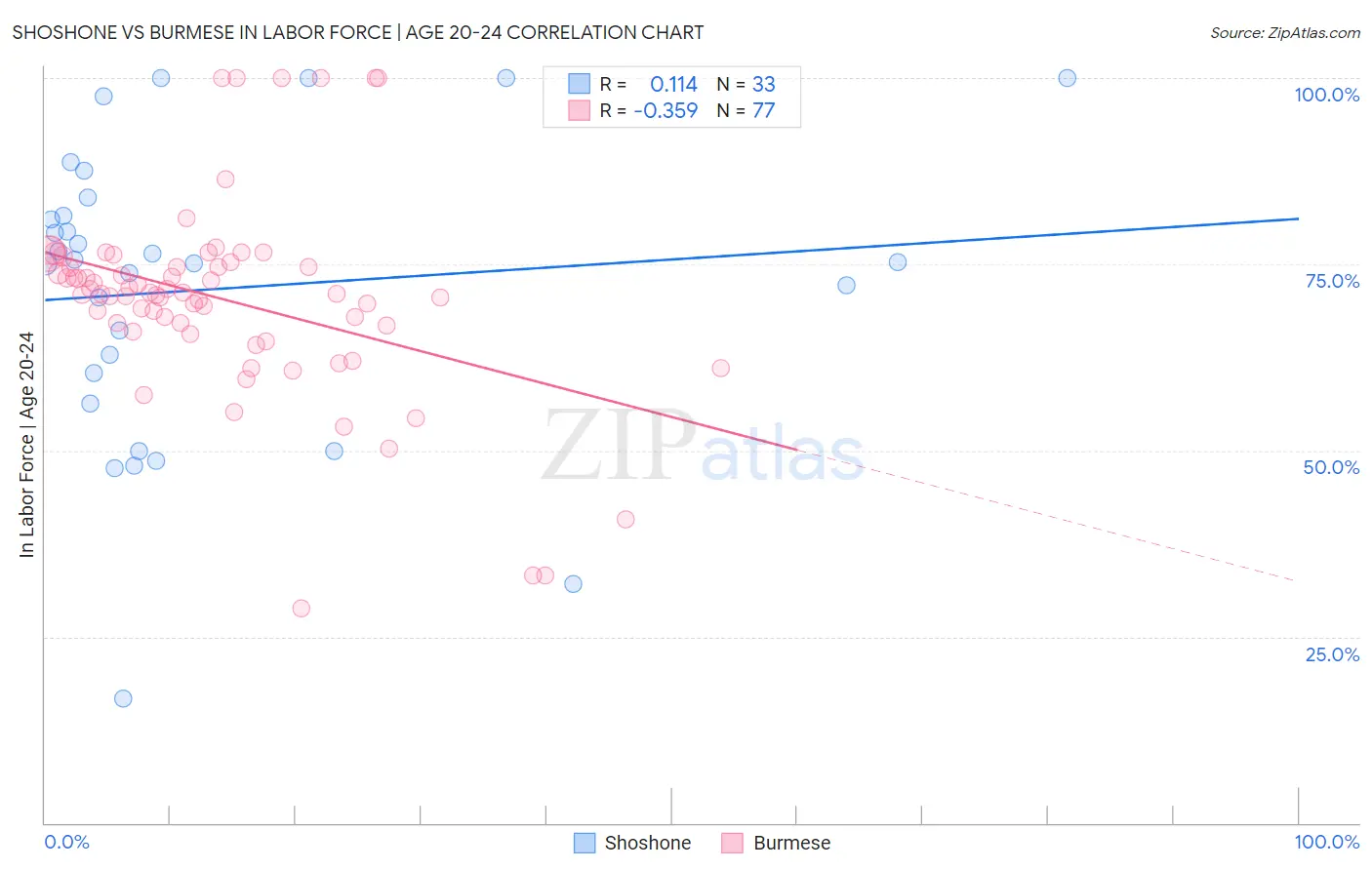 Shoshone vs Burmese In Labor Force | Age 20-24