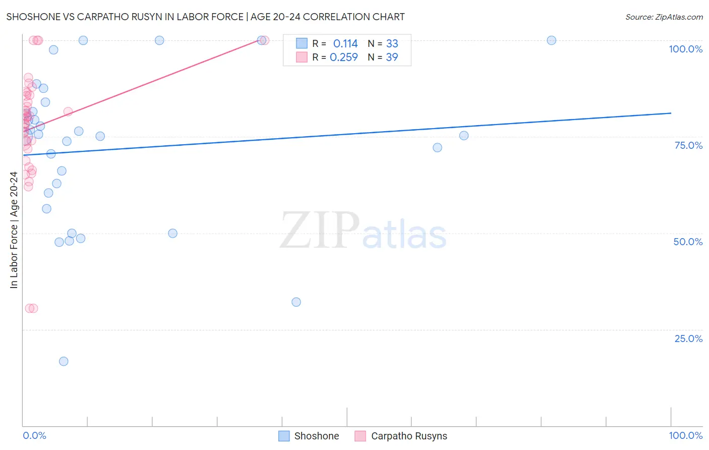 Shoshone vs Carpatho Rusyn In Labor Force | Age 20-24