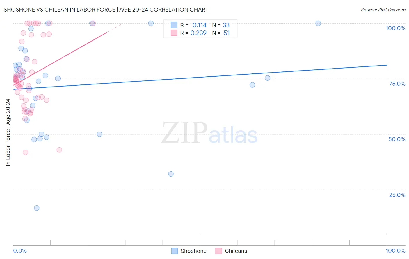 Shoshone vs Chilean In Labor Force | Age 20-24