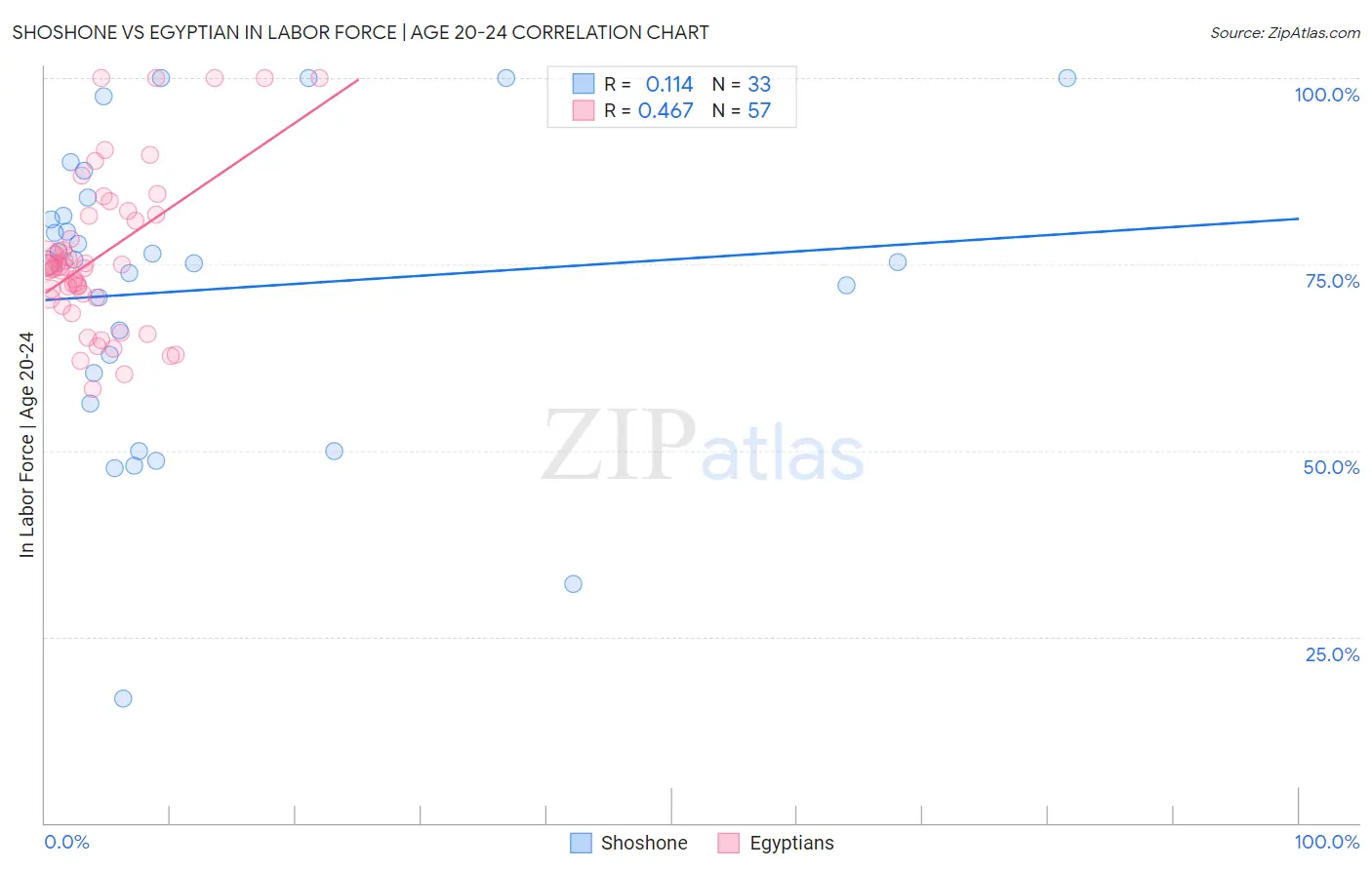 Shoshone vs Egyptian In Labor Force | Age 20-24