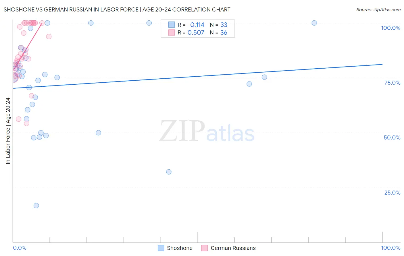 Shoshone vs German Russian In Labor Force | Age 20-24