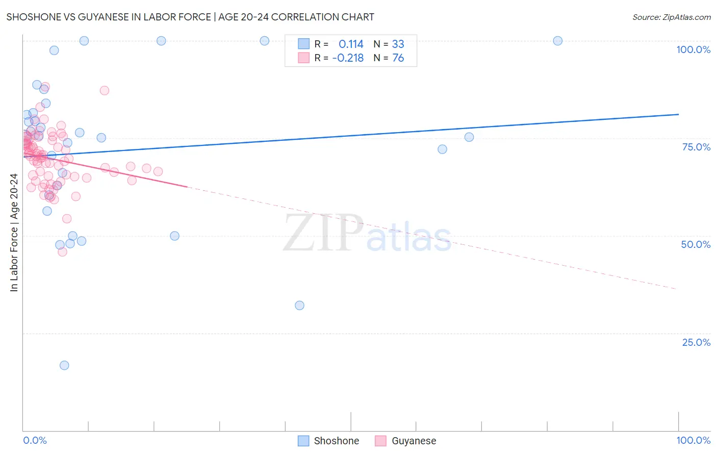 Shoshone vs Guyanese In Labor Force | Age 20-24