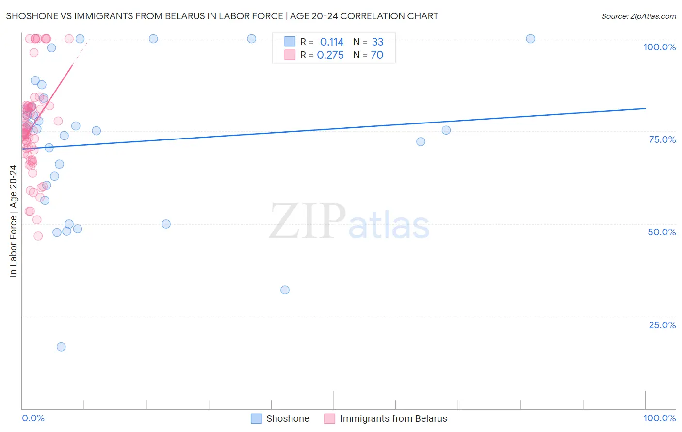 Shoshone vs Immigrants from Belarus In Labor Force | Age 20-24