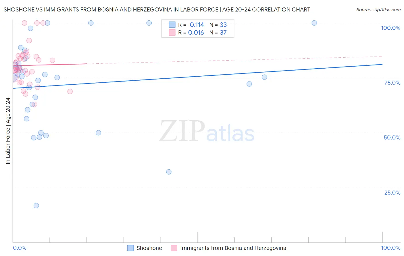 Shoshone vs Immigrants from Bosnia and Herzegovina In Labor Force | Age 20-24