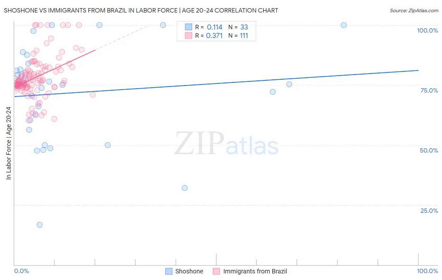 Shoshone vs Immigrants from Brazil In Labor Force | Age 20-24