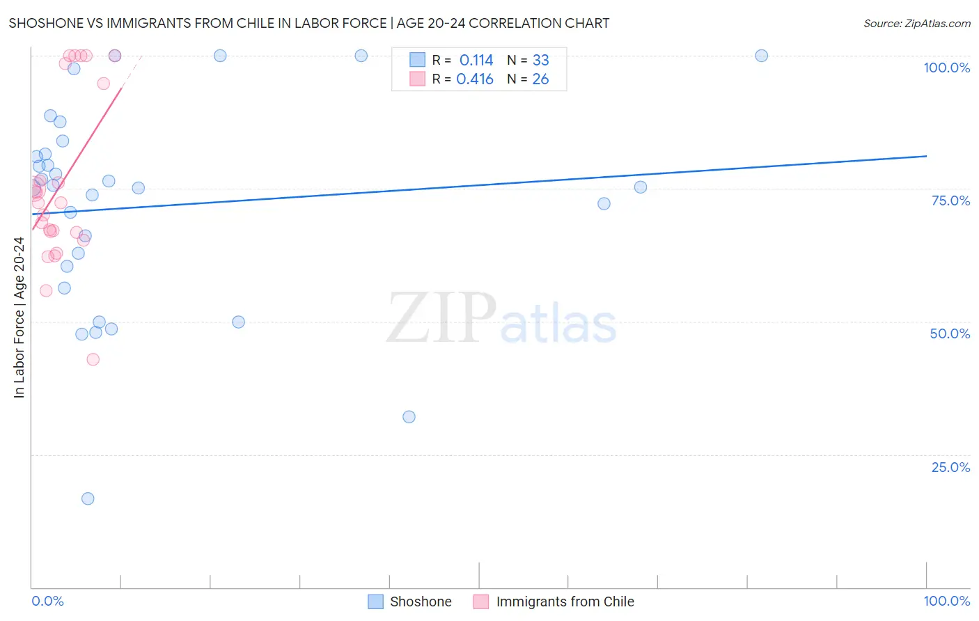 Shoshone vs Immigrants from Chile In Labor Force | Age 20-24