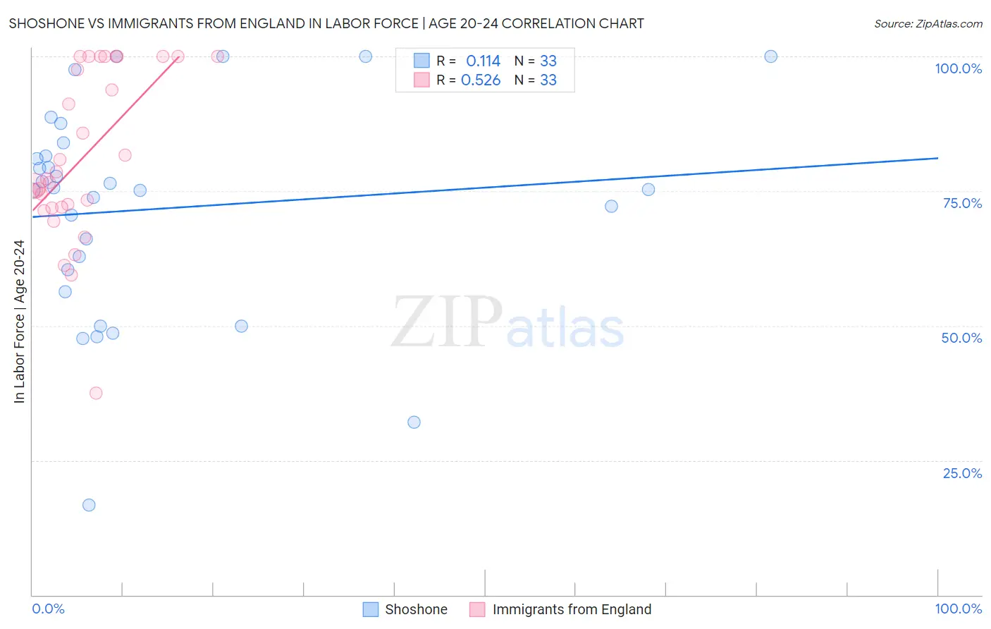 Shoshone vs Immigrants from England In Labor Force | Age 20-24