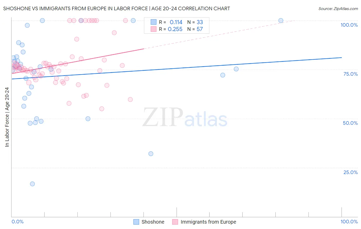 Shoshone vs Immigrants from Europe In Labor Force | Age 20-24