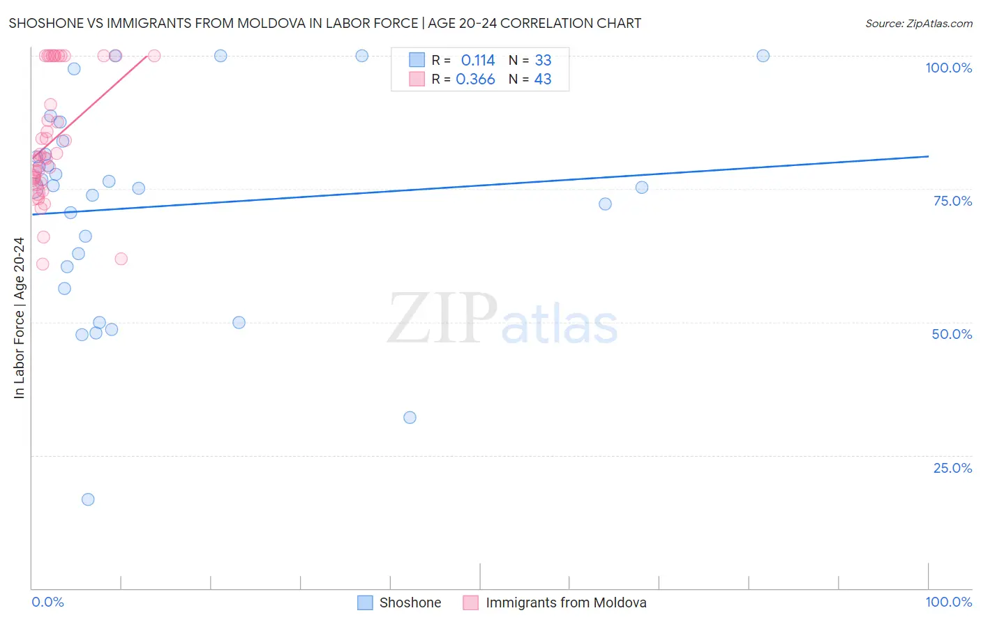 Shoshone vs Immigrants from Moldova In Labor Force | Age 20-24