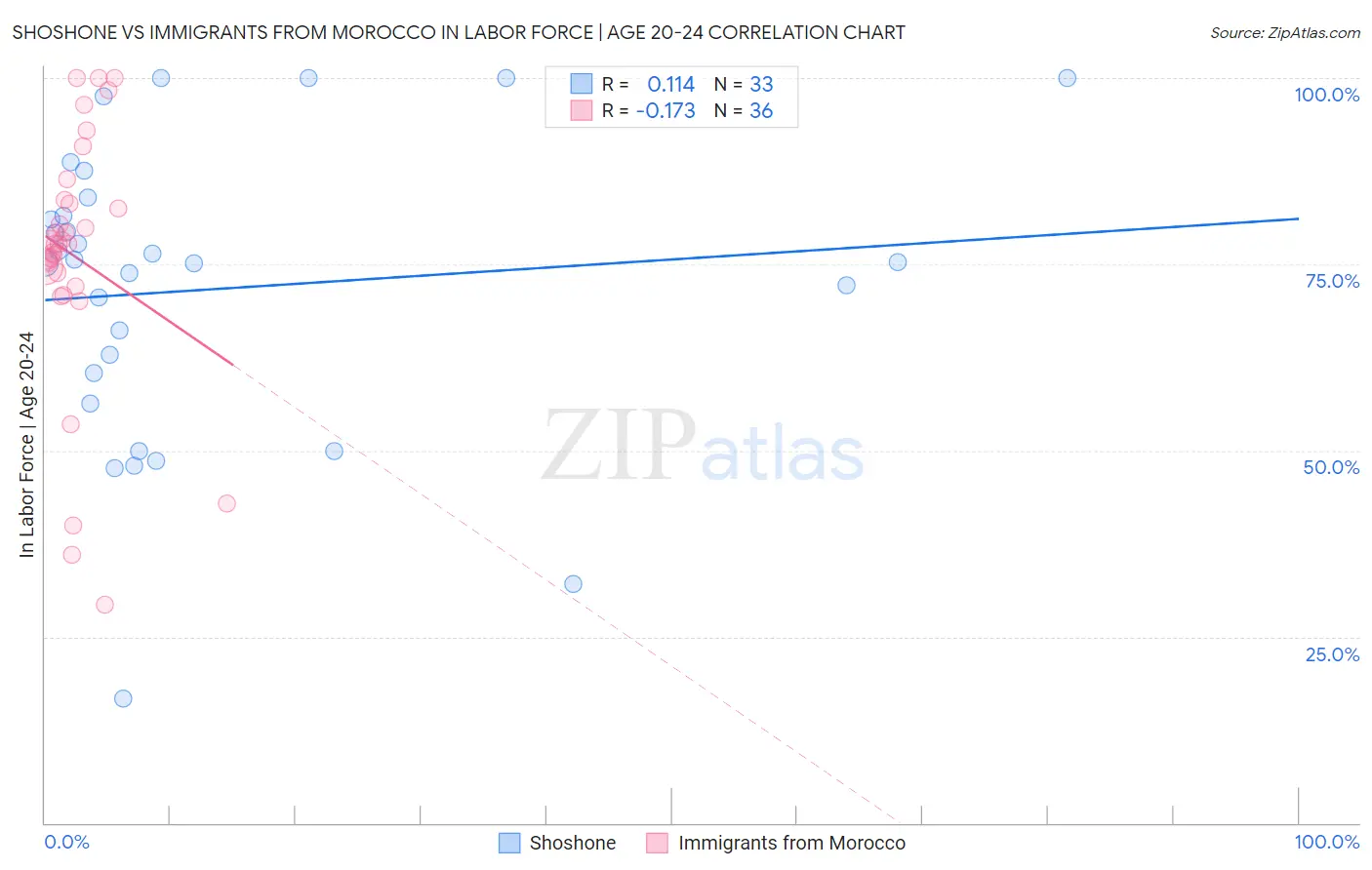 Shoshone vs Immigrants from Morocco In Labor Force | Age 20-24