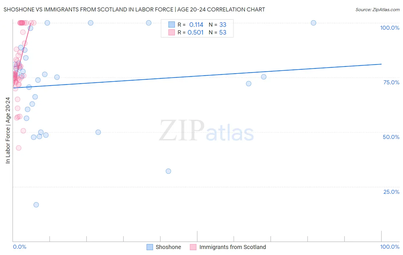 Shoshone vs Immigrants from Scotland In Labor Force | Age 20-24