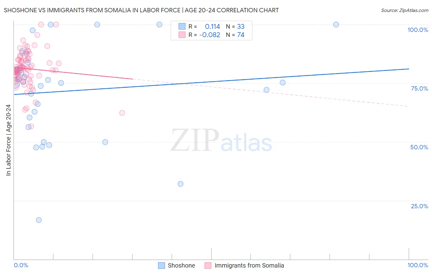 Shoshone vs Immigrants from Somalia In Labor Force | Age 20-24