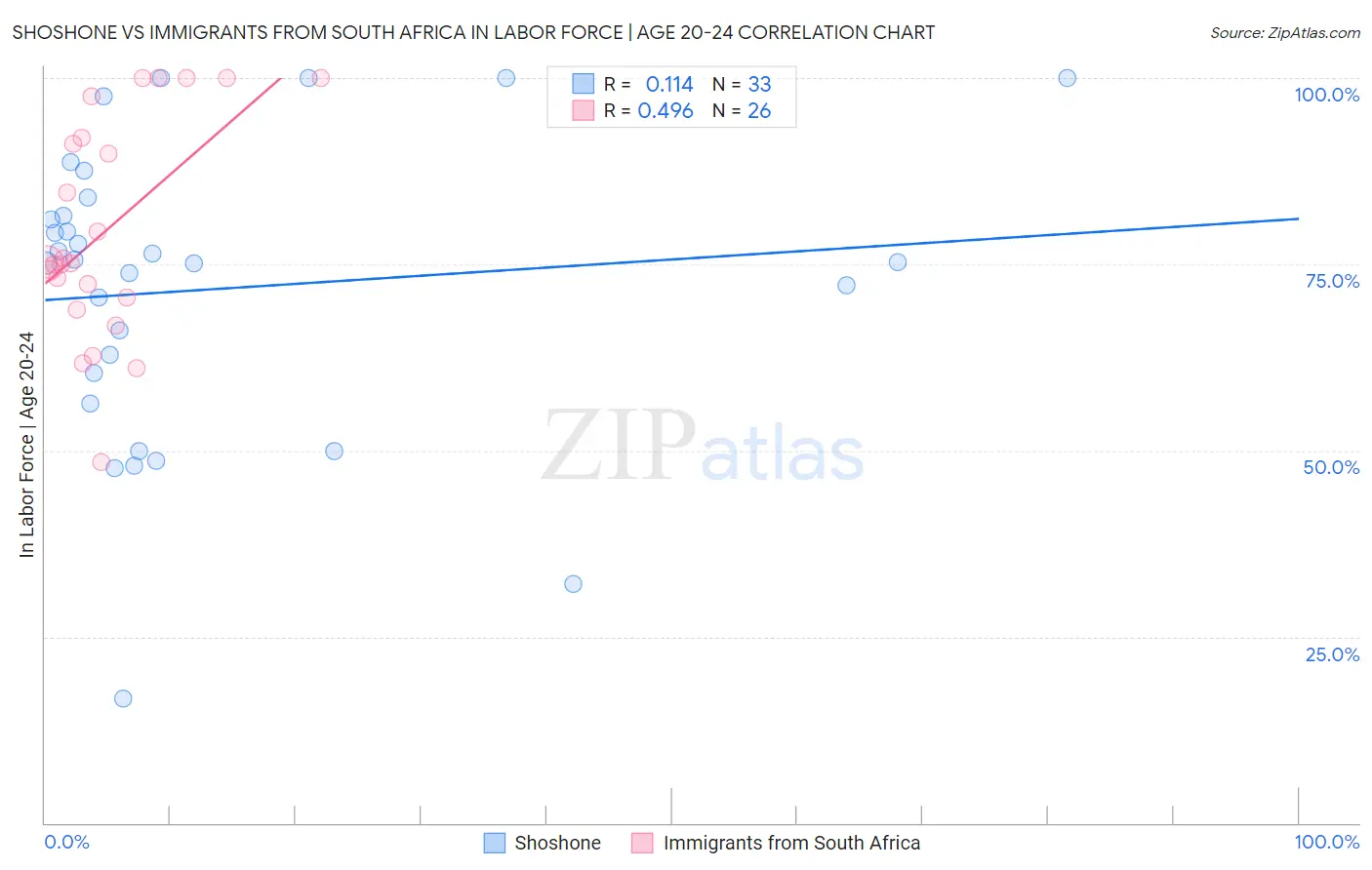 Shoshone vs Immigrants from South Africa In Labor Force | Age 20-24