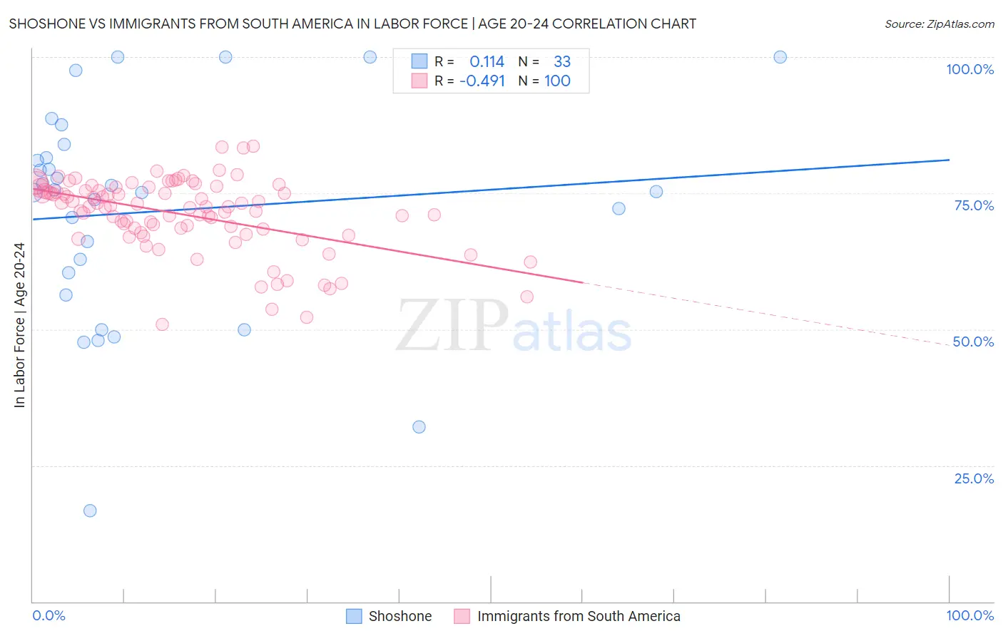 Shoshone vs Immigrants from South America In Labor Force | Age 20-24