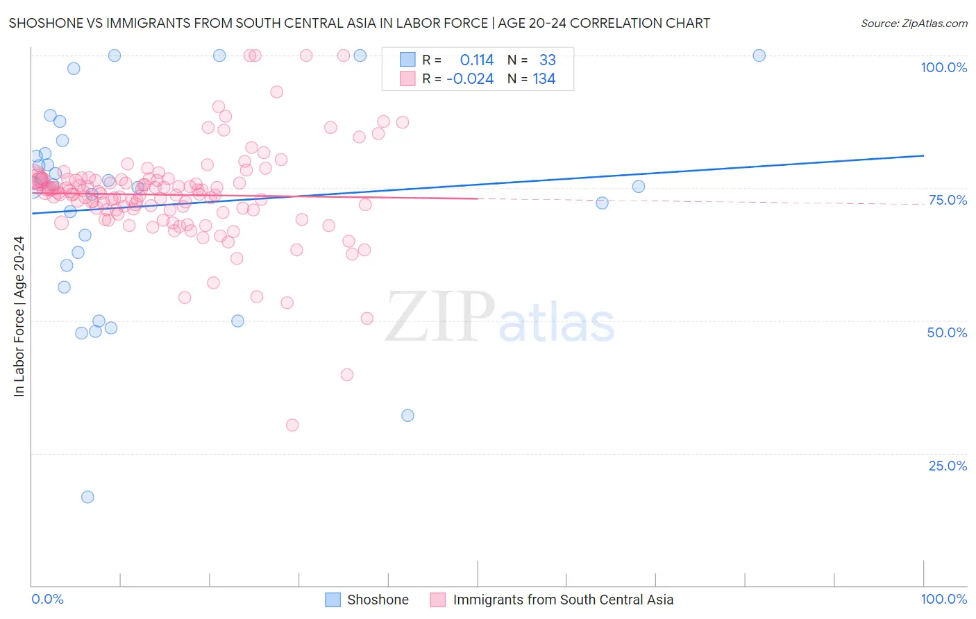 Shoshone vs Immigrants from South Central Asia In Labor Force | Age 20-24