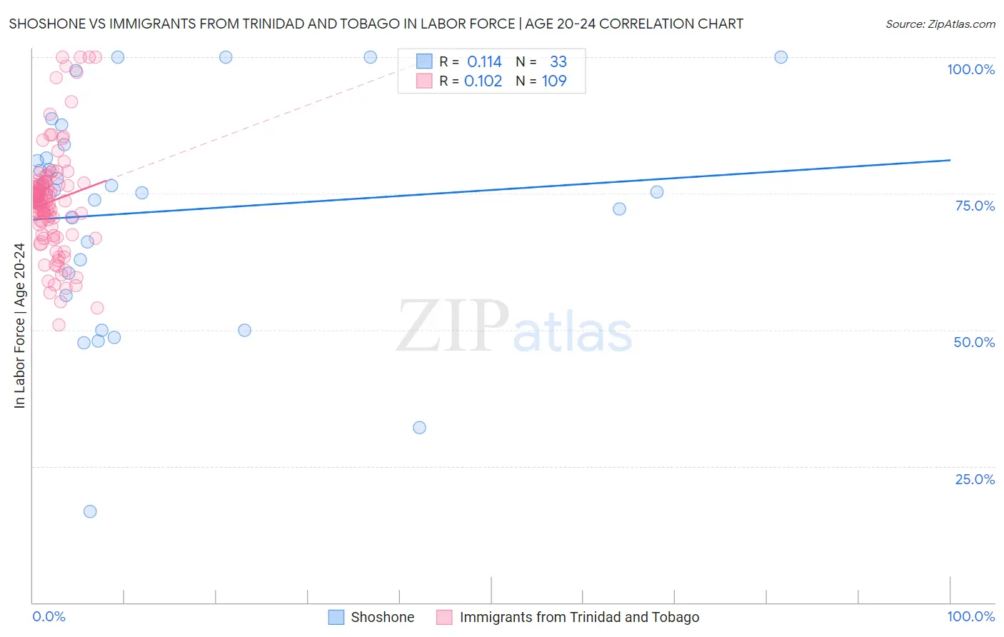 Shoshone vs Immigrants from Trinidad and Tobago In Labor Force | Age 20-24